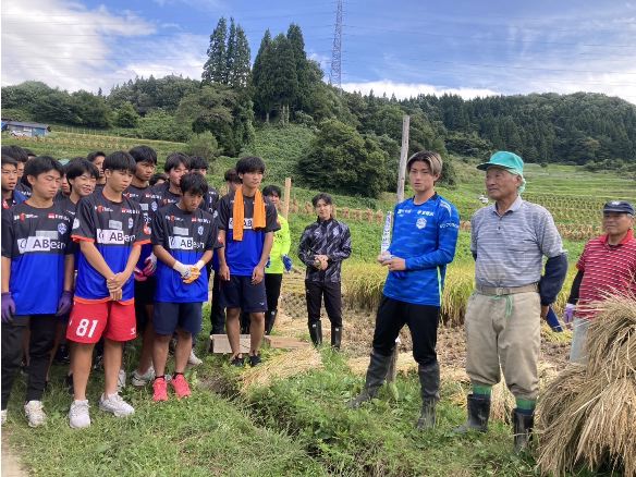 モンテ棚田米の稲刈り