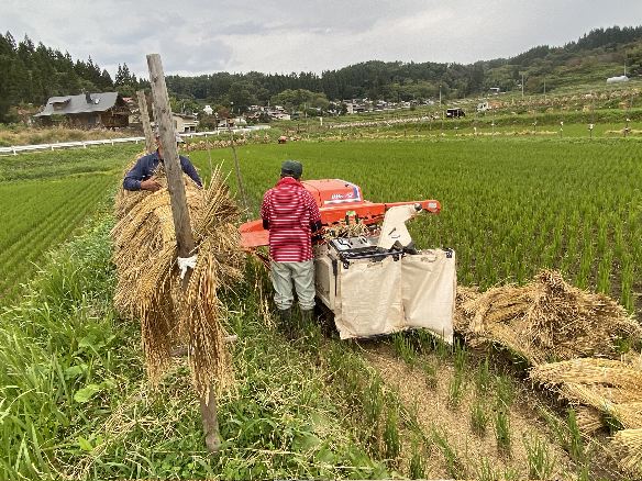 棚田米の出来栄え @ 初回の等級検査