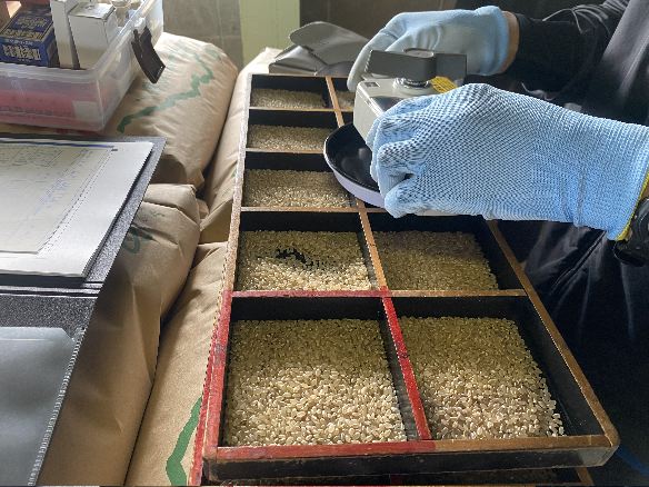 棚田米の出来栄え A 等級検査結果は15年連続の1等米!!