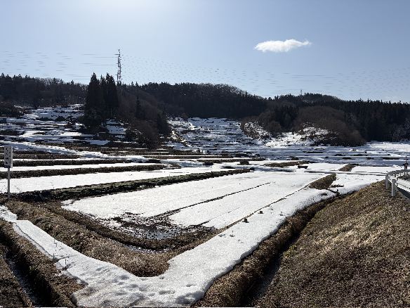 ���t�̒I�c