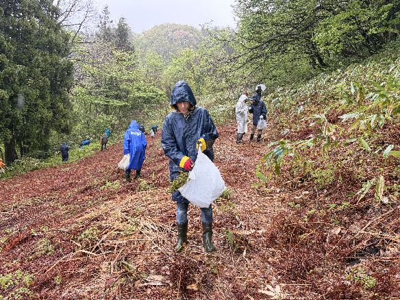 ��n�̂��э̂�