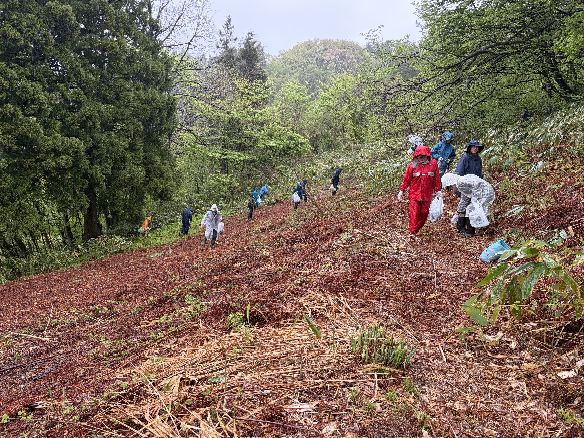 ��n�̂��э̂�