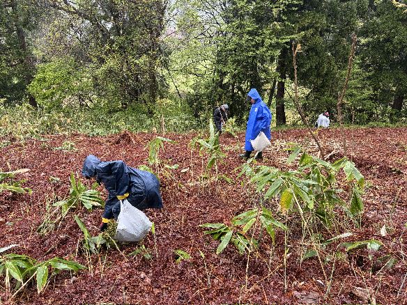 ��n�̂��э̂�